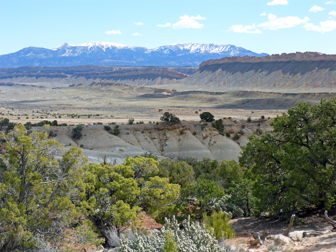 Edge of Tarantula Mesa