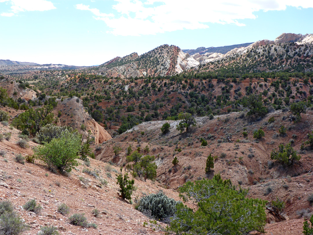 Capitol Reef