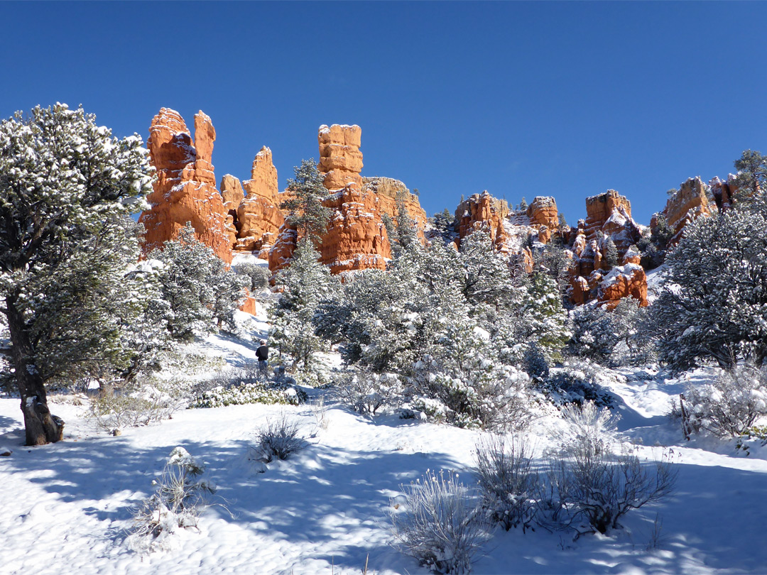 Pinnacles near the visitor center