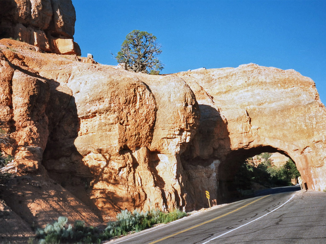 Hwy 12 tunnel