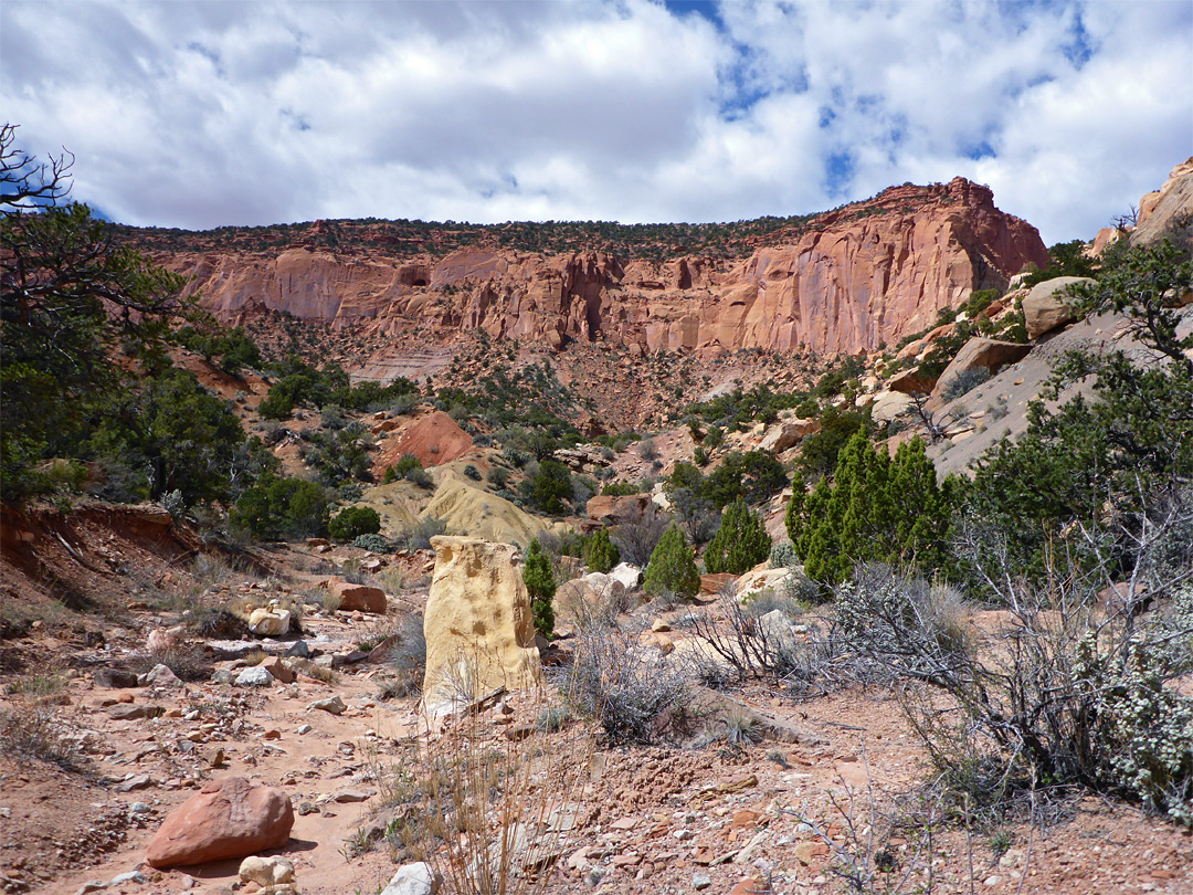 Wingate cliffs