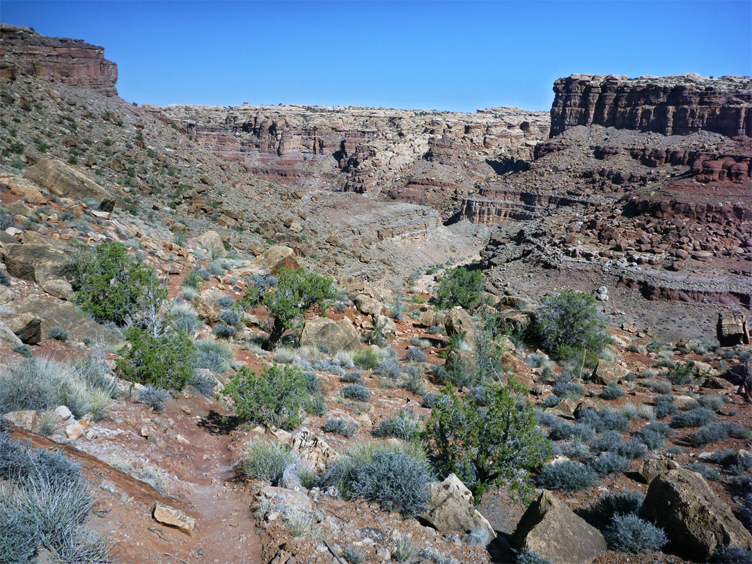 Saddle near Red Lake Canyon