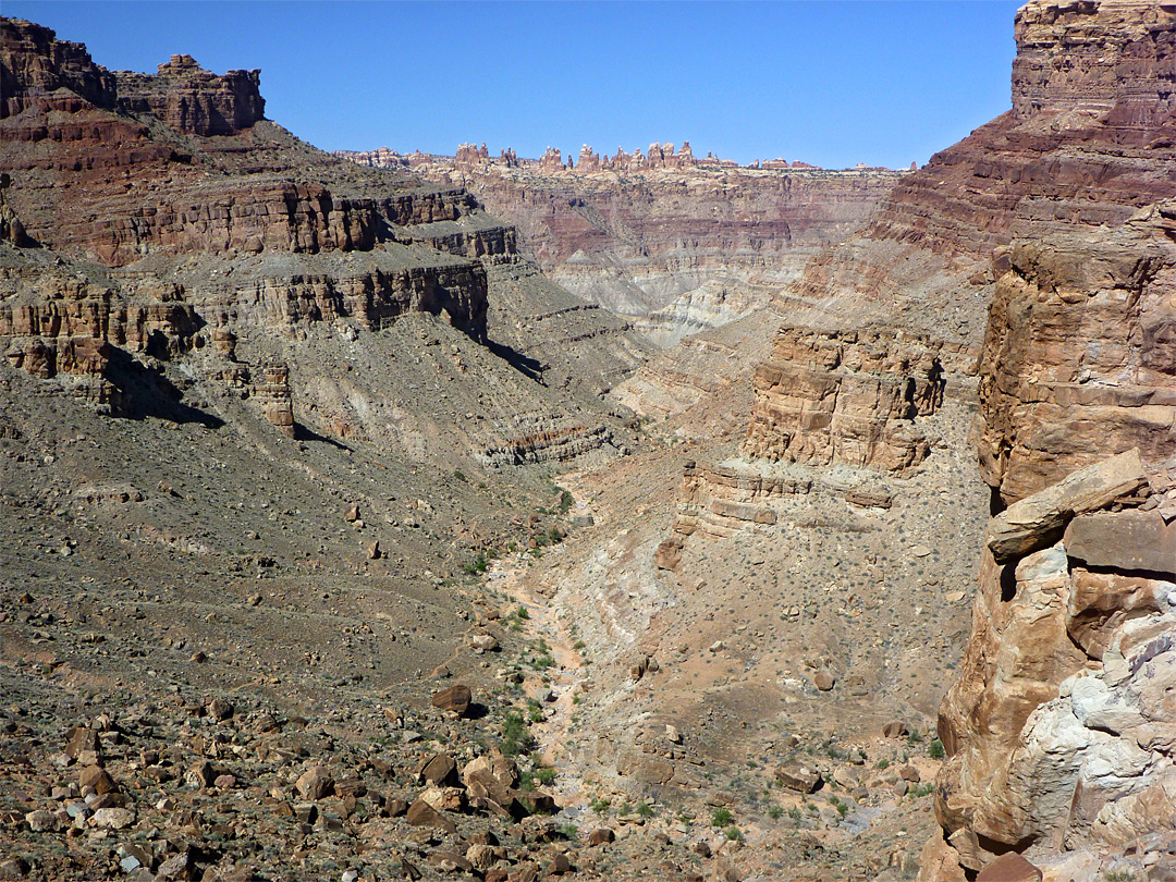 Arid landscape in Lower Red Lake Canyon