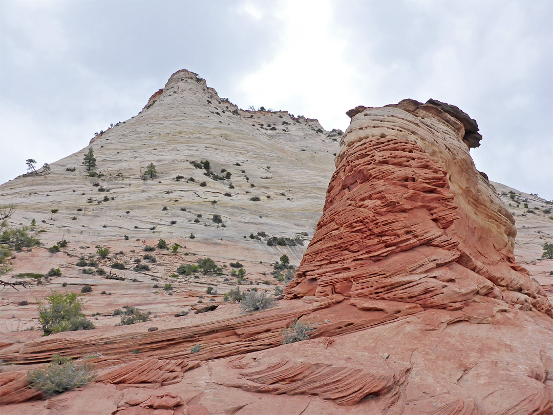 Red butte and white cliffs