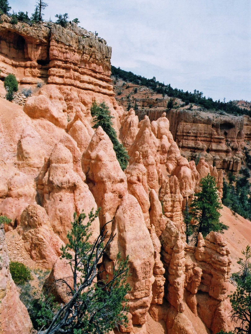 Cliffs and pinnacles