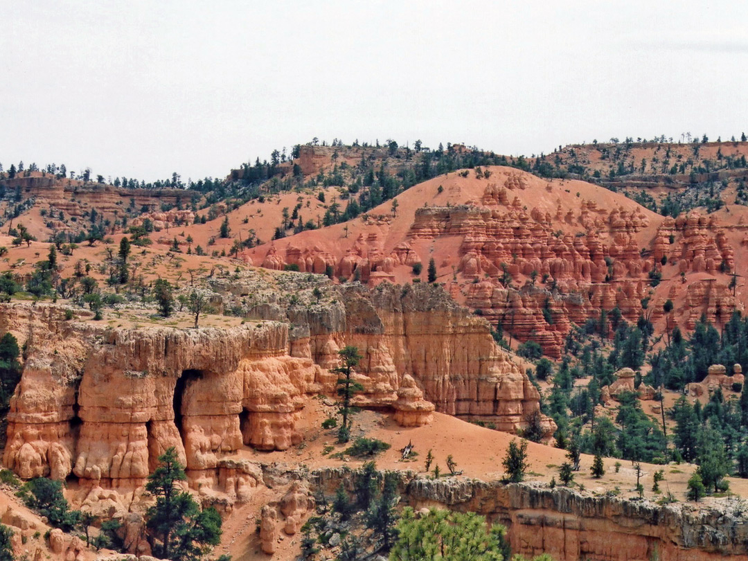 Canyon on the Photo Trail