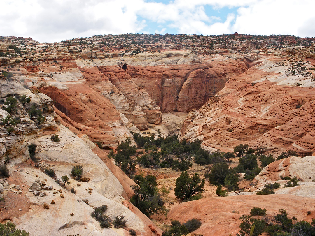 Canyon along the trail