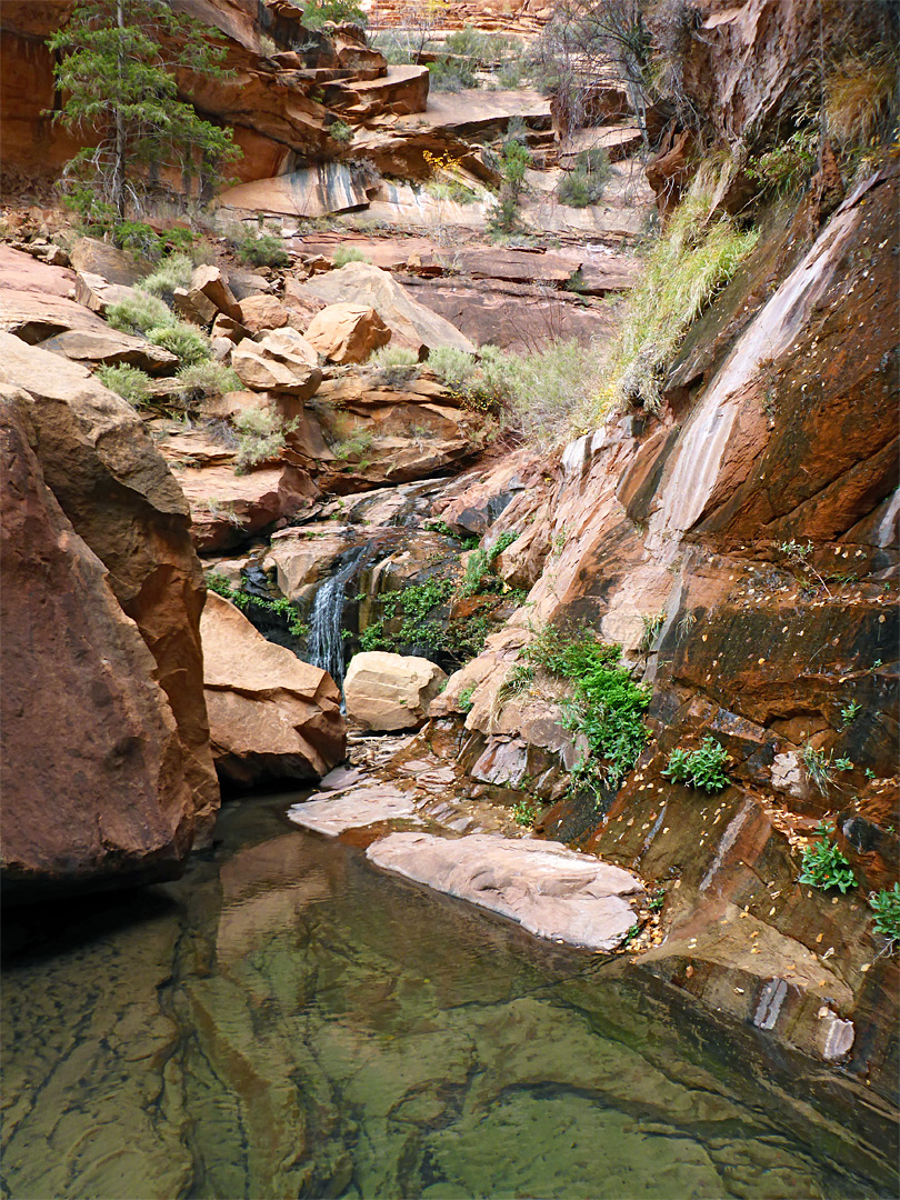 Clear-water pool