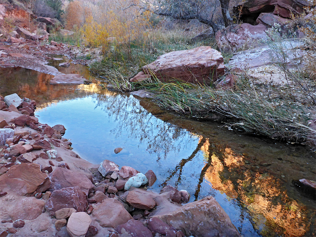 Early morning reflections