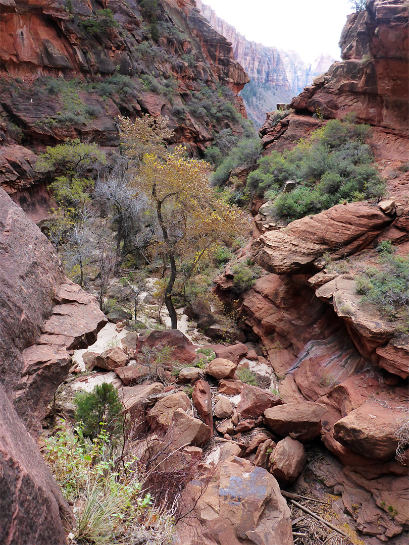 The view downcanyon