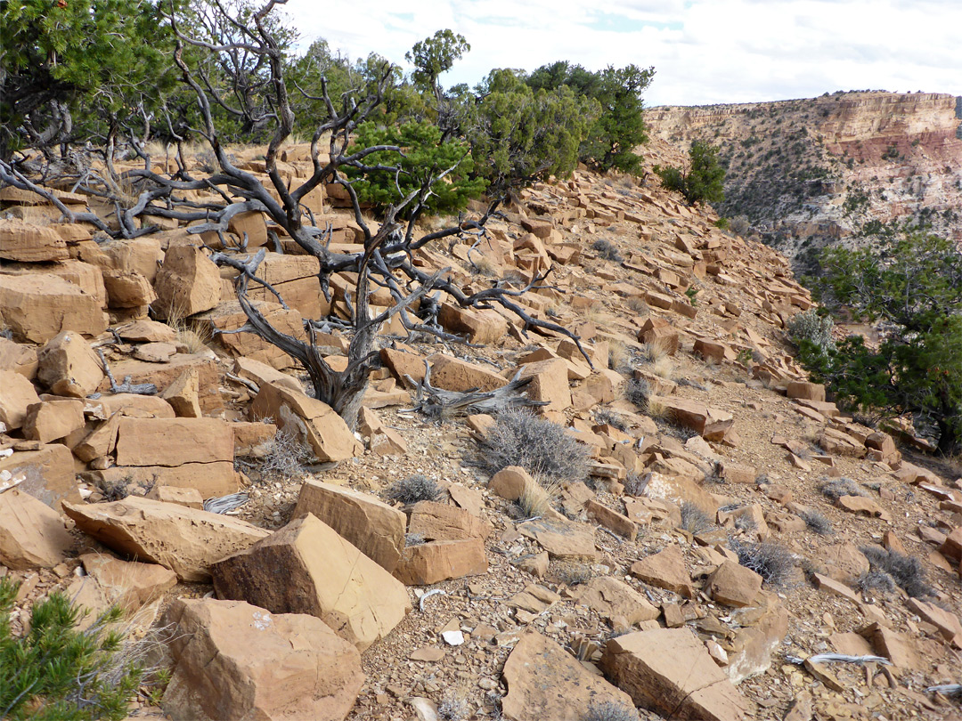 Sandstone blocks