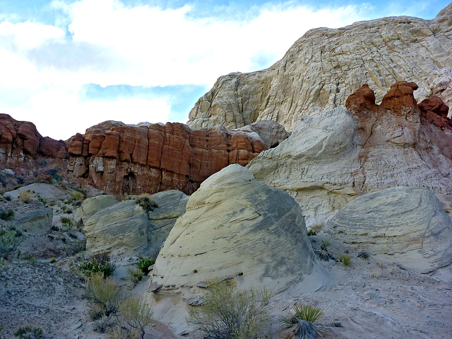 Yellow-grey mounds