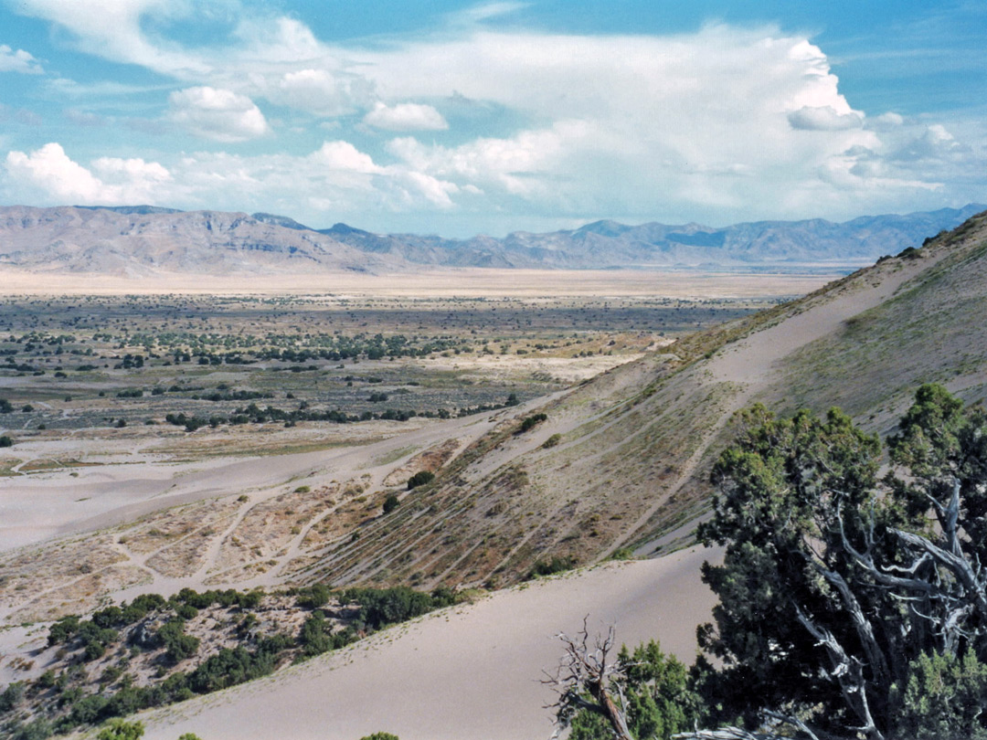 View east towards the Canyon Mountains