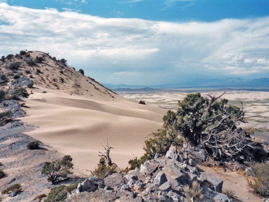 Ridge on Sand Mountain