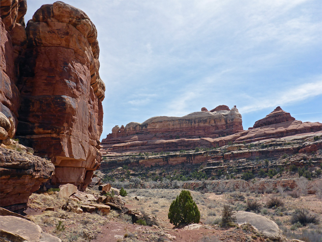 Cliffs of Salt Creek