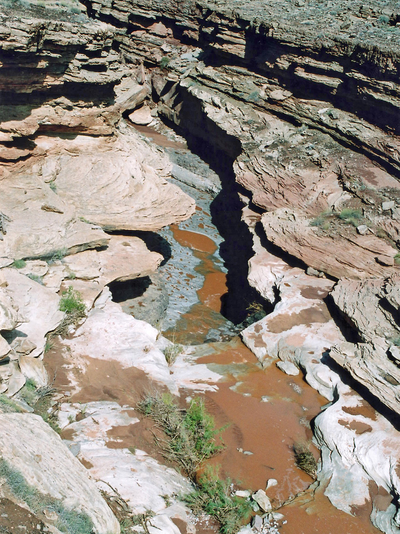 Narrows of Salt Creek