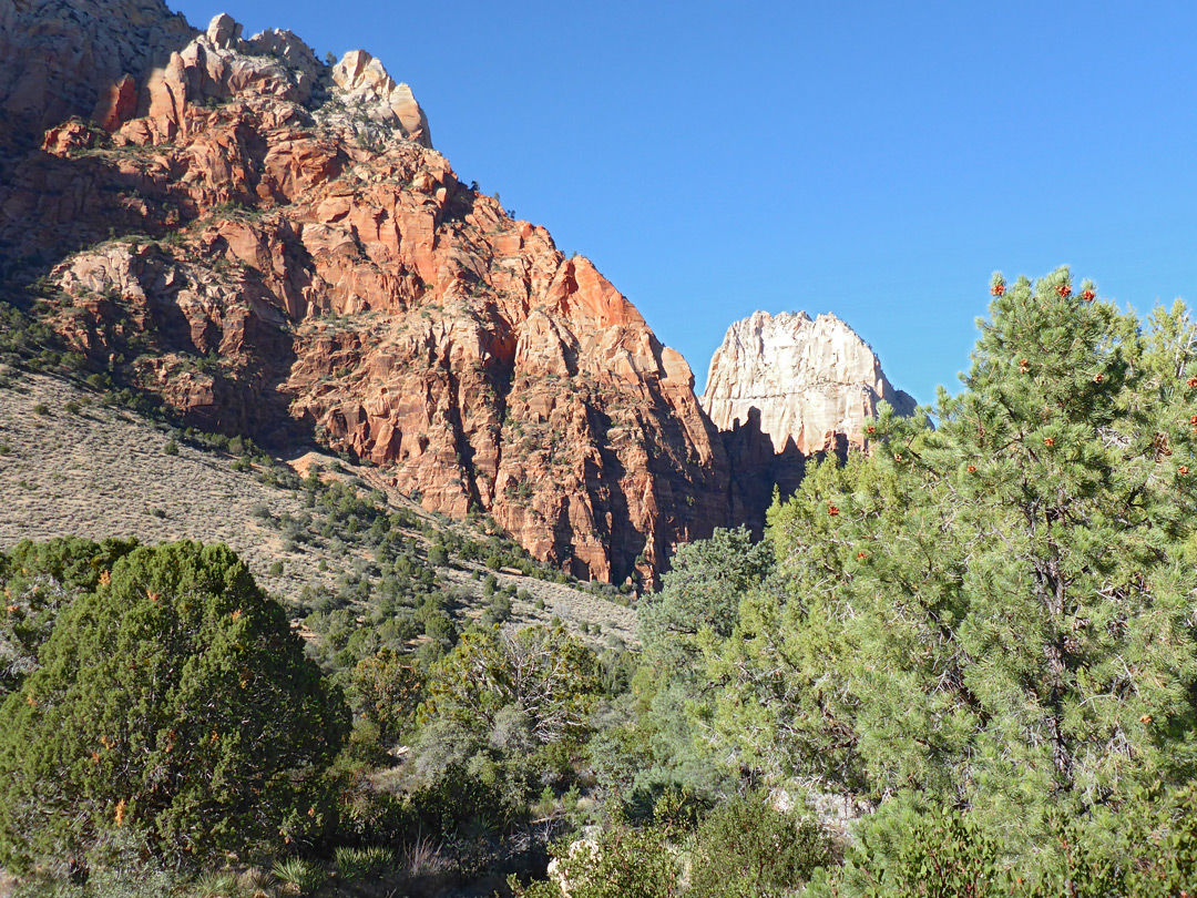 Cliffs above the bench