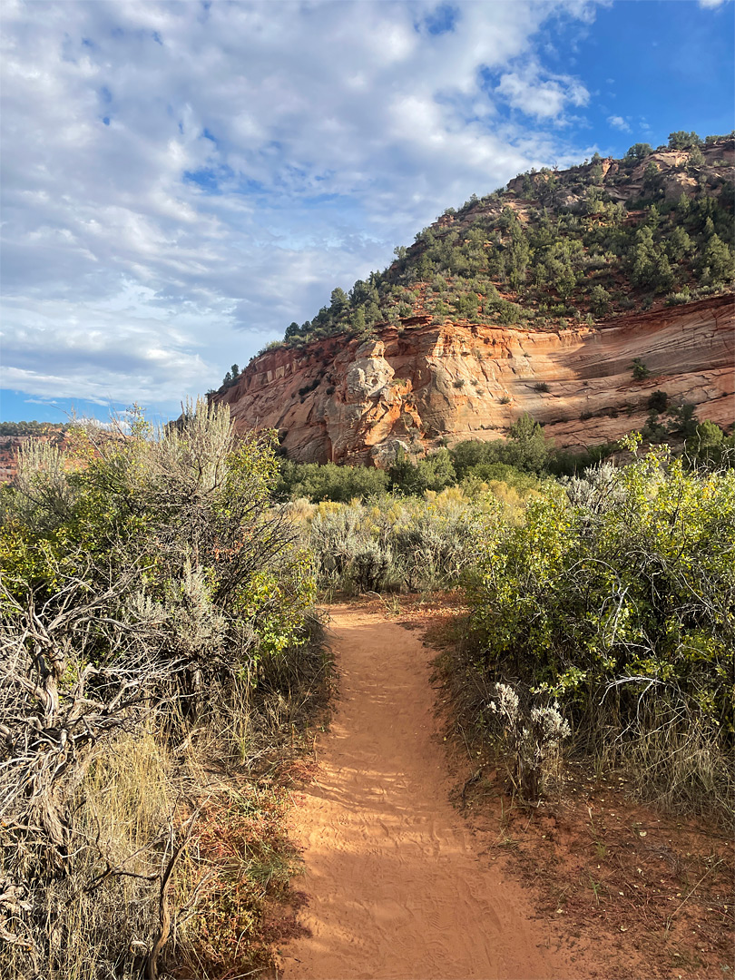 Path to the caves