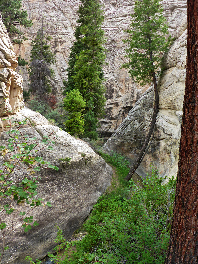 Bend along the canyon