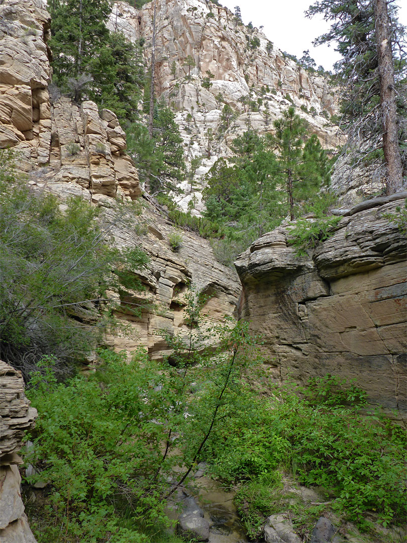 Higher cliffs