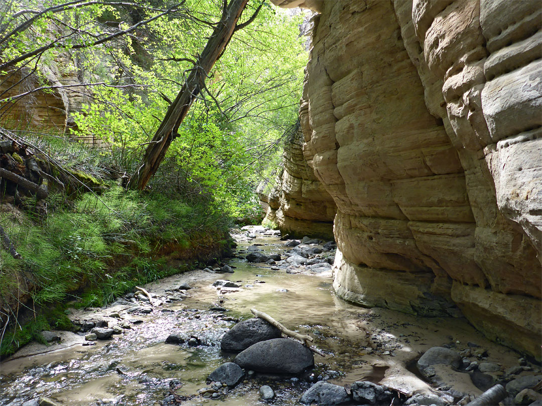 Layered cliff