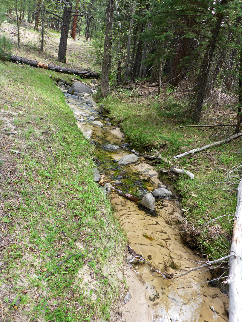 Sandy stream