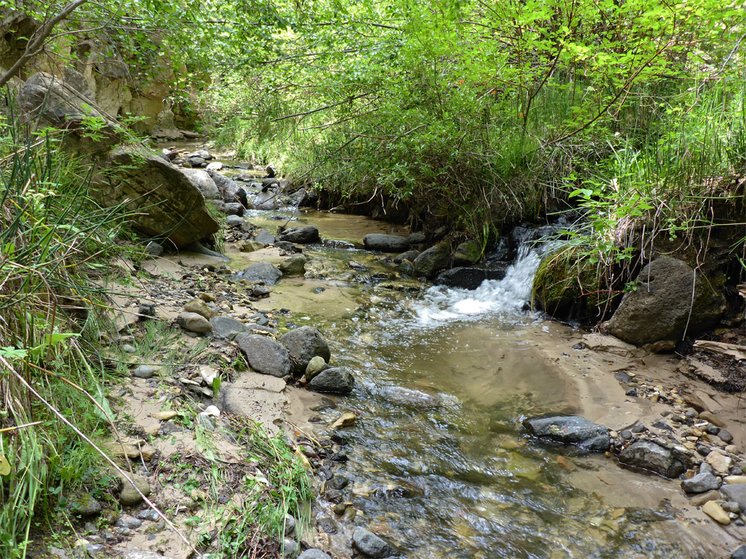 Tributary stream