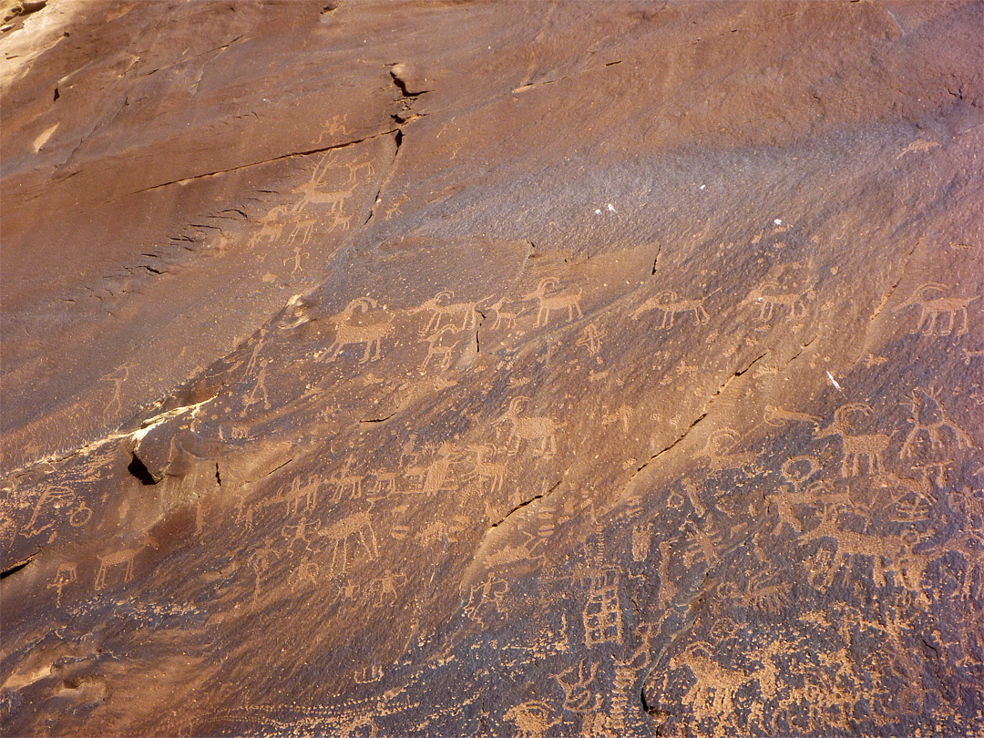 Sand Island petroglyphs