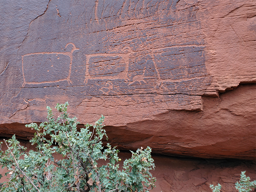 Bighorn sheep petroglyphs