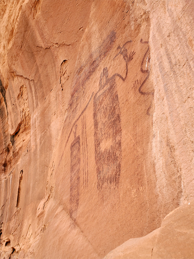 The snake panel