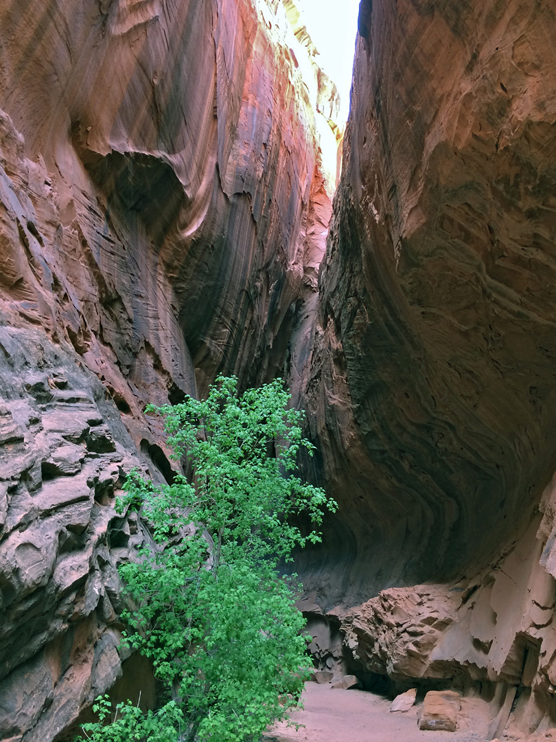 Singing Canyon