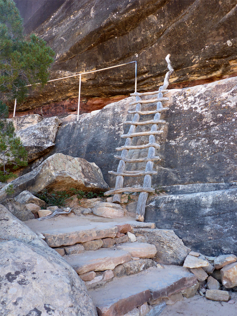 Ladder near the trailhead