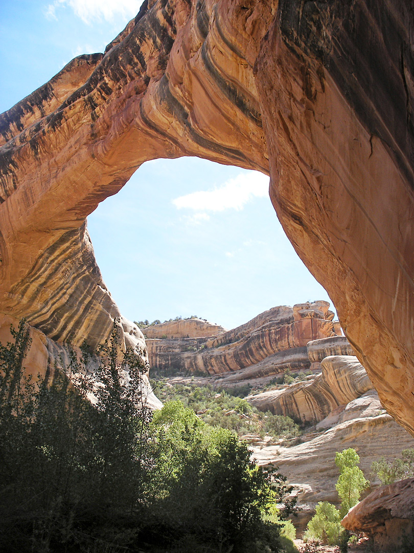 Gorge Gorge