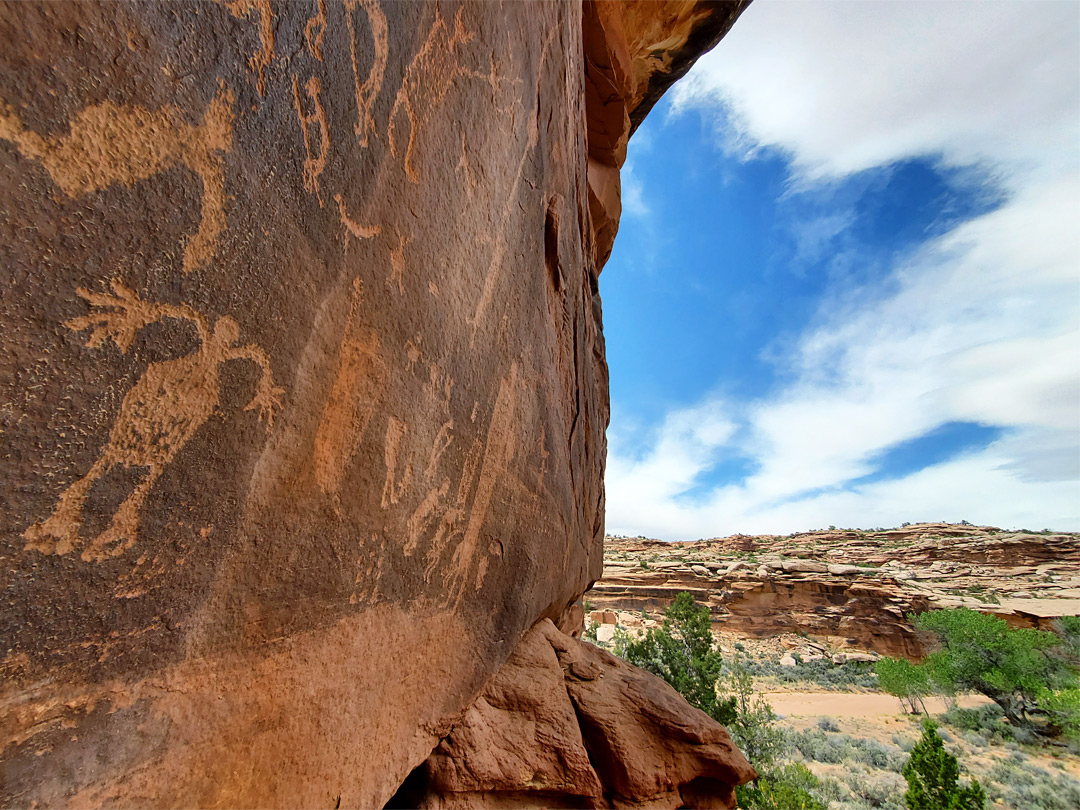 Varied petroglyphs