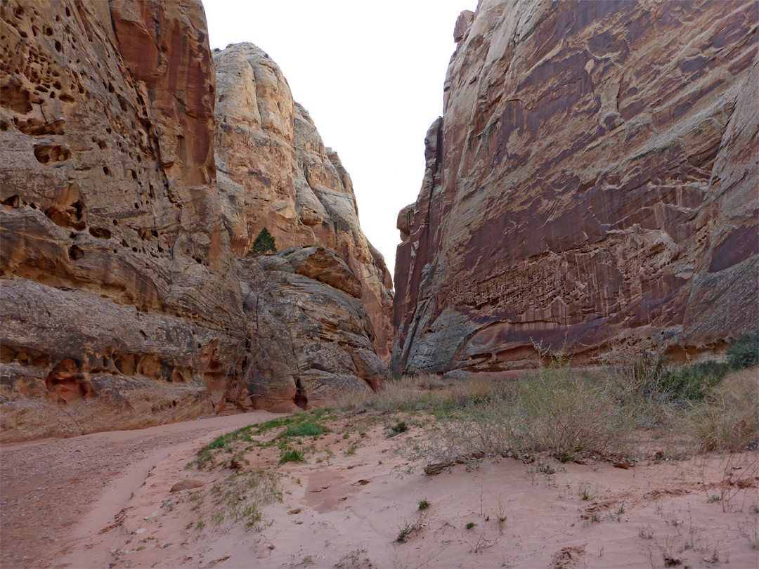 Dry streambed
