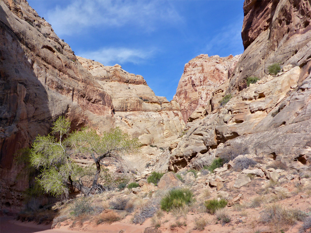 Canyon walls