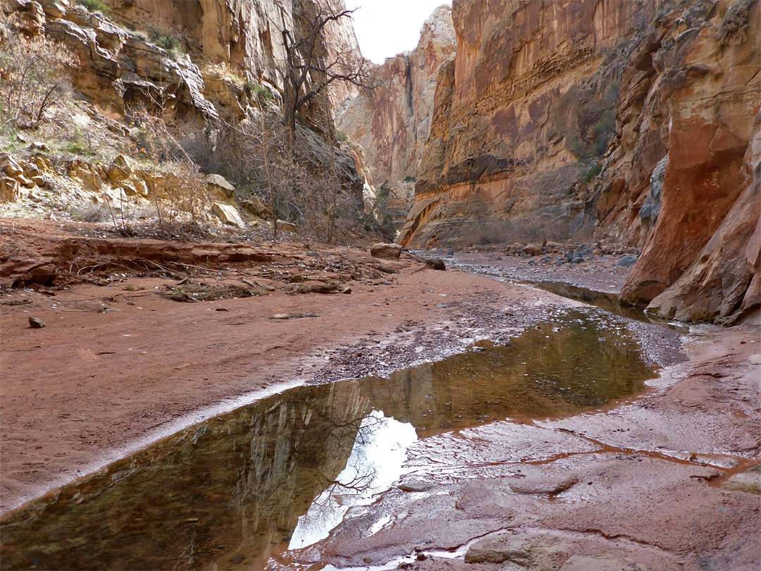 Long pool