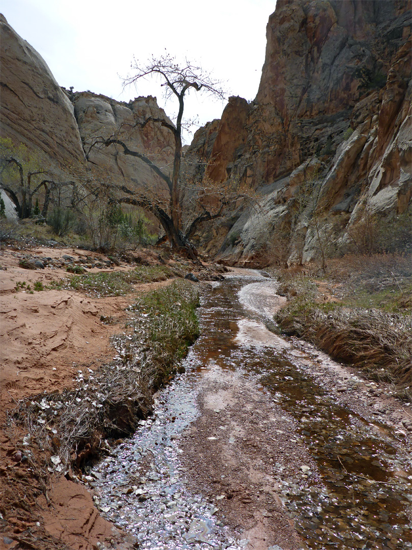 Shallow stream