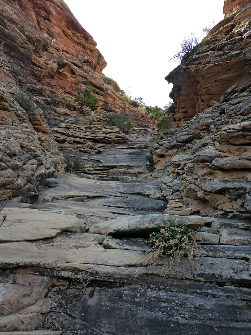 Tributary ravine