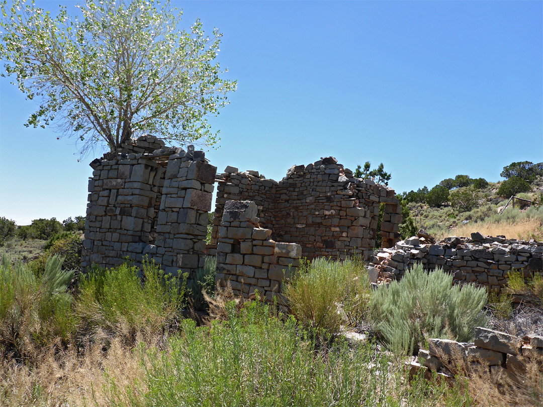 Ranch ruins