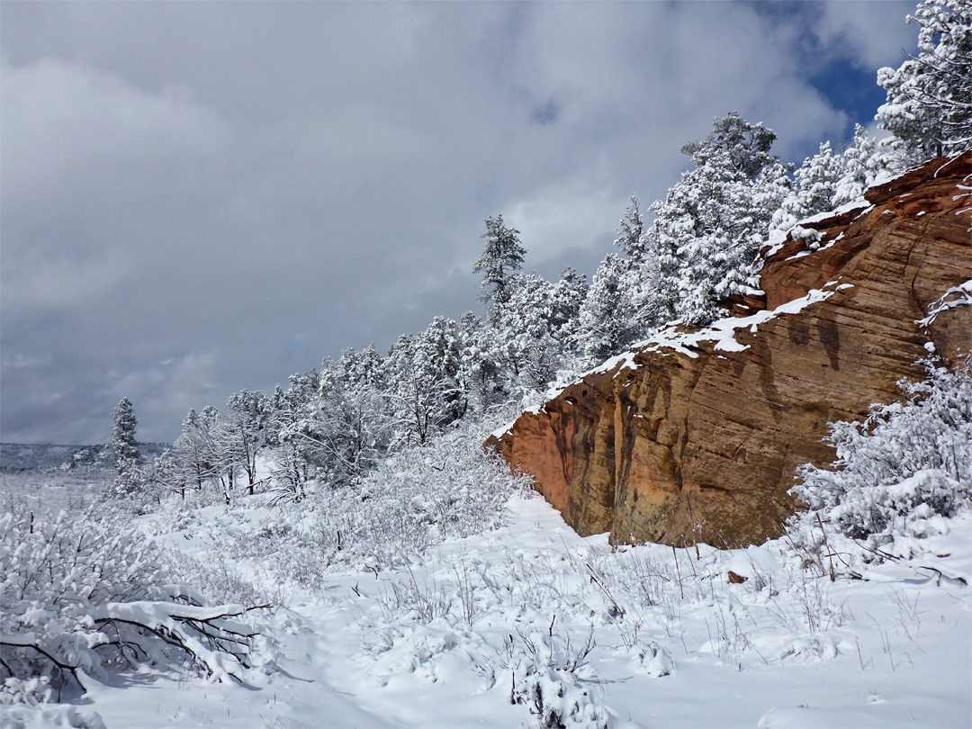 Cliff near Stave Spring