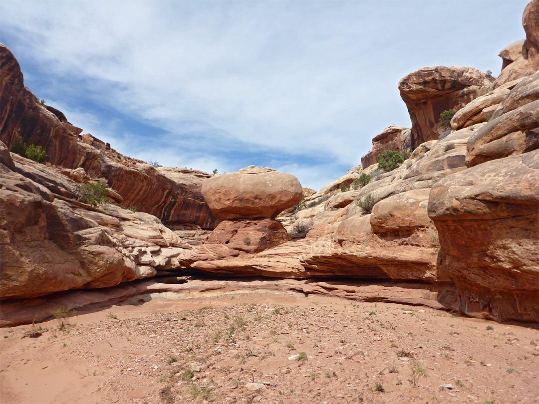 Sandy canyon floor