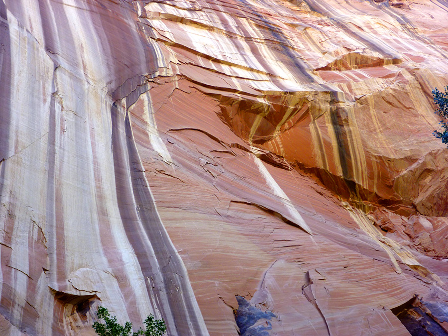 Desert varnish on a sandstone cliff
