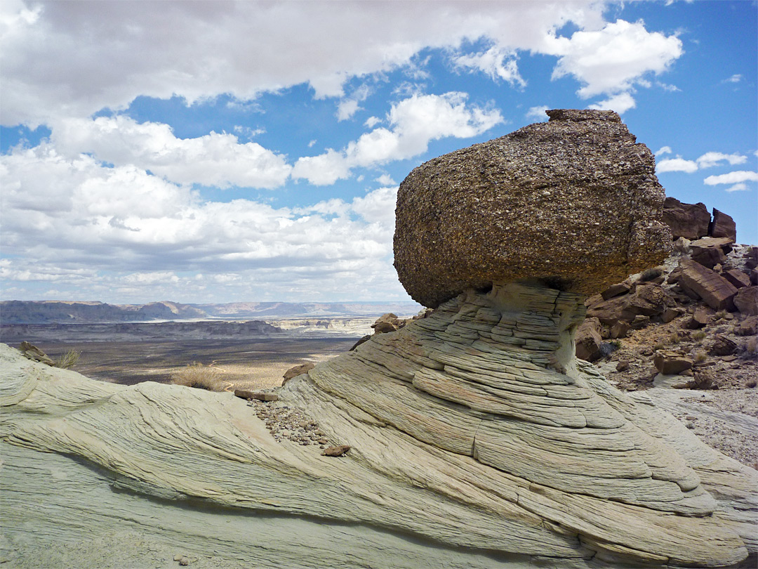 Conglomerate boulder