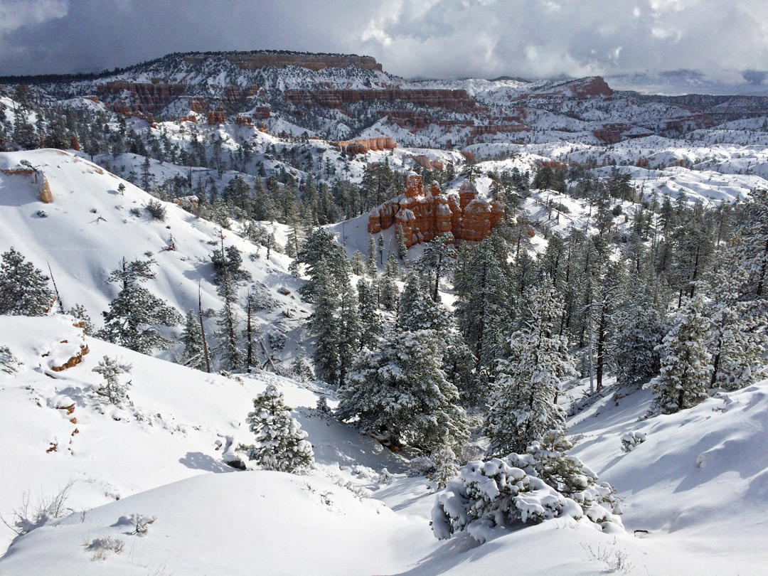 Snow below Sunrise Point