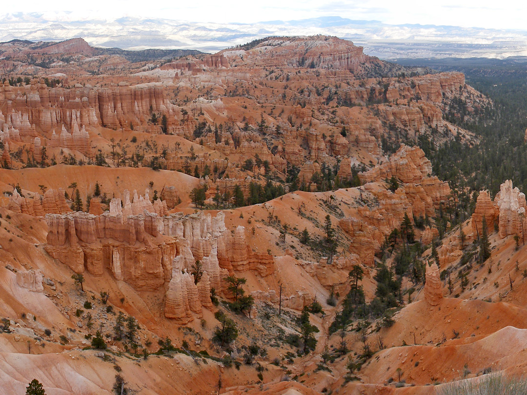 Sunset Point hoodoos