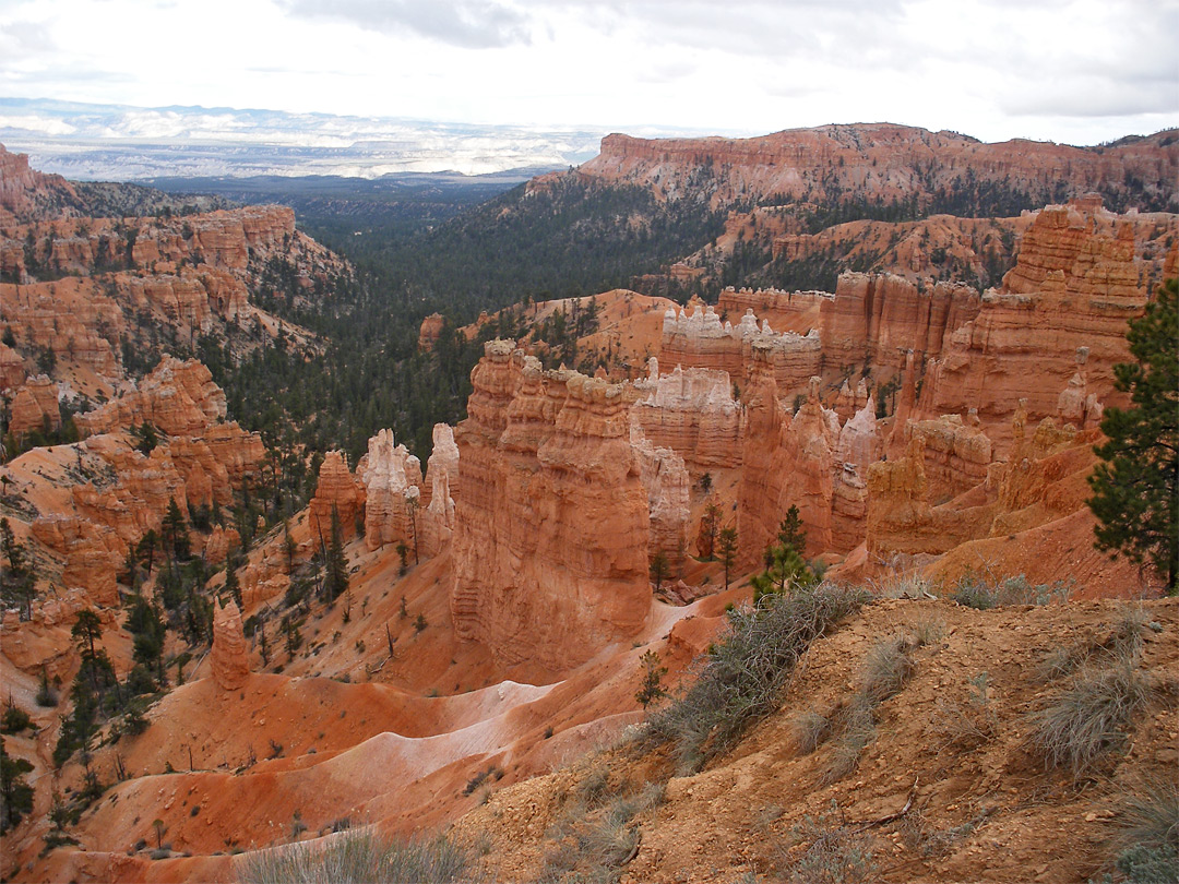 Ravine below Sunset Point