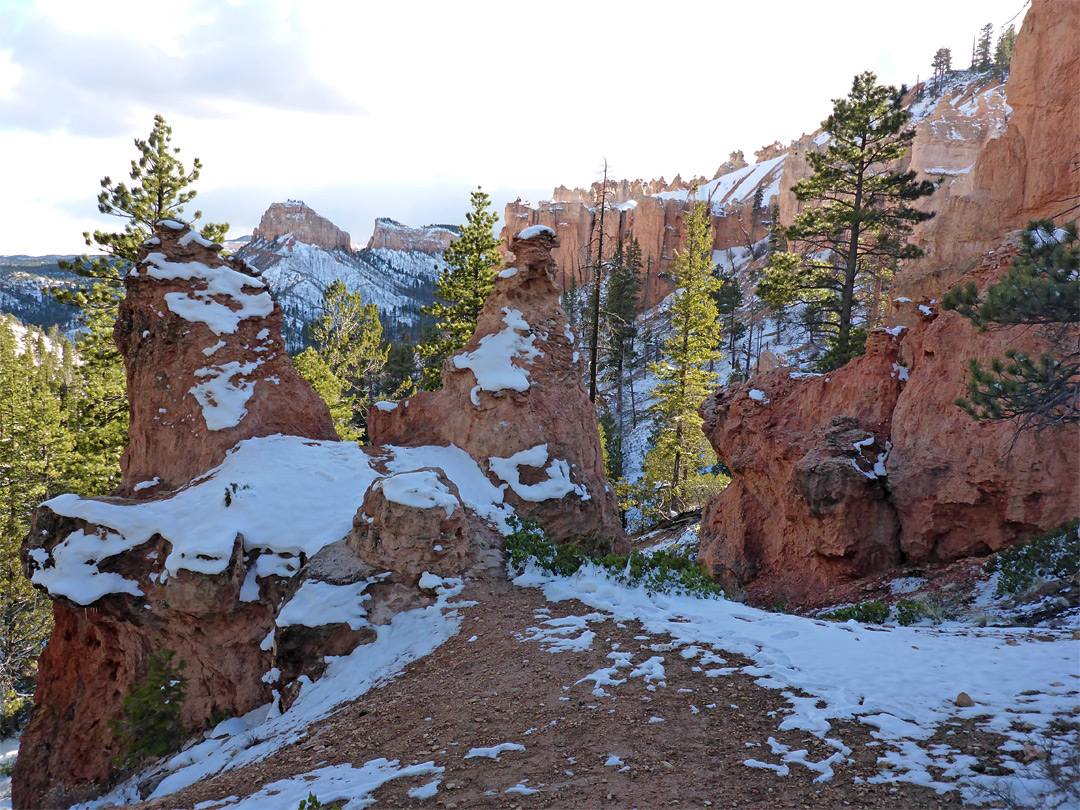 Red rocks