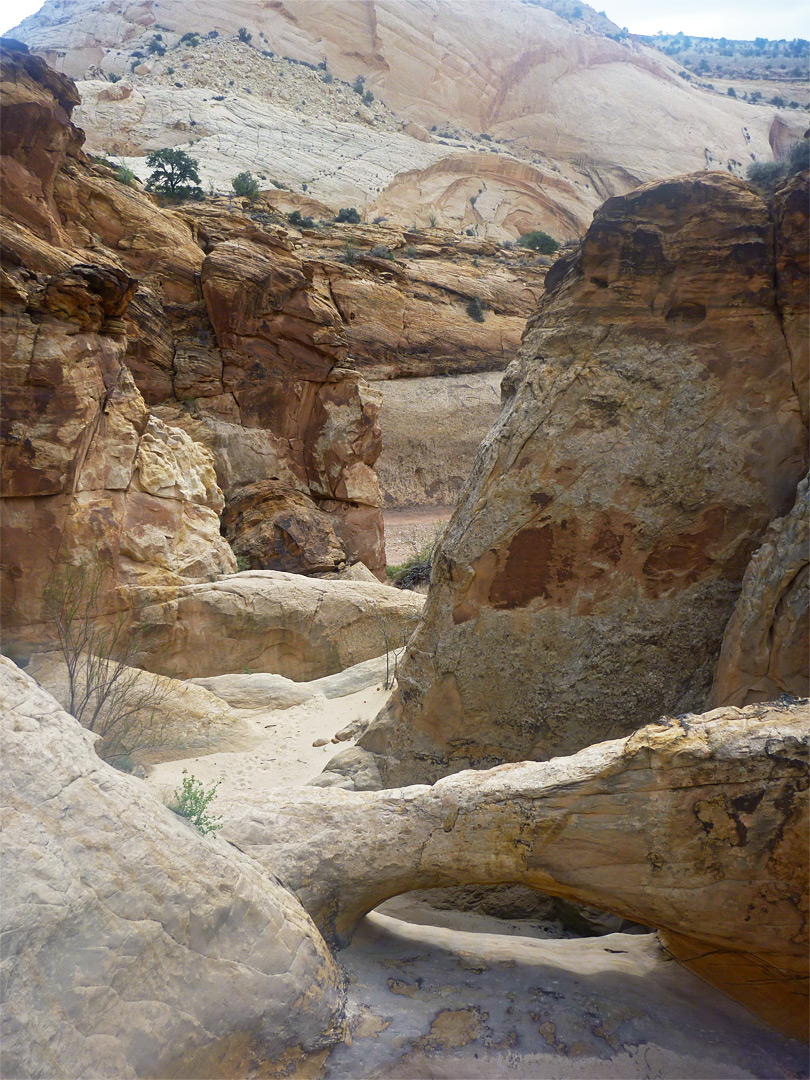 Natural bridge