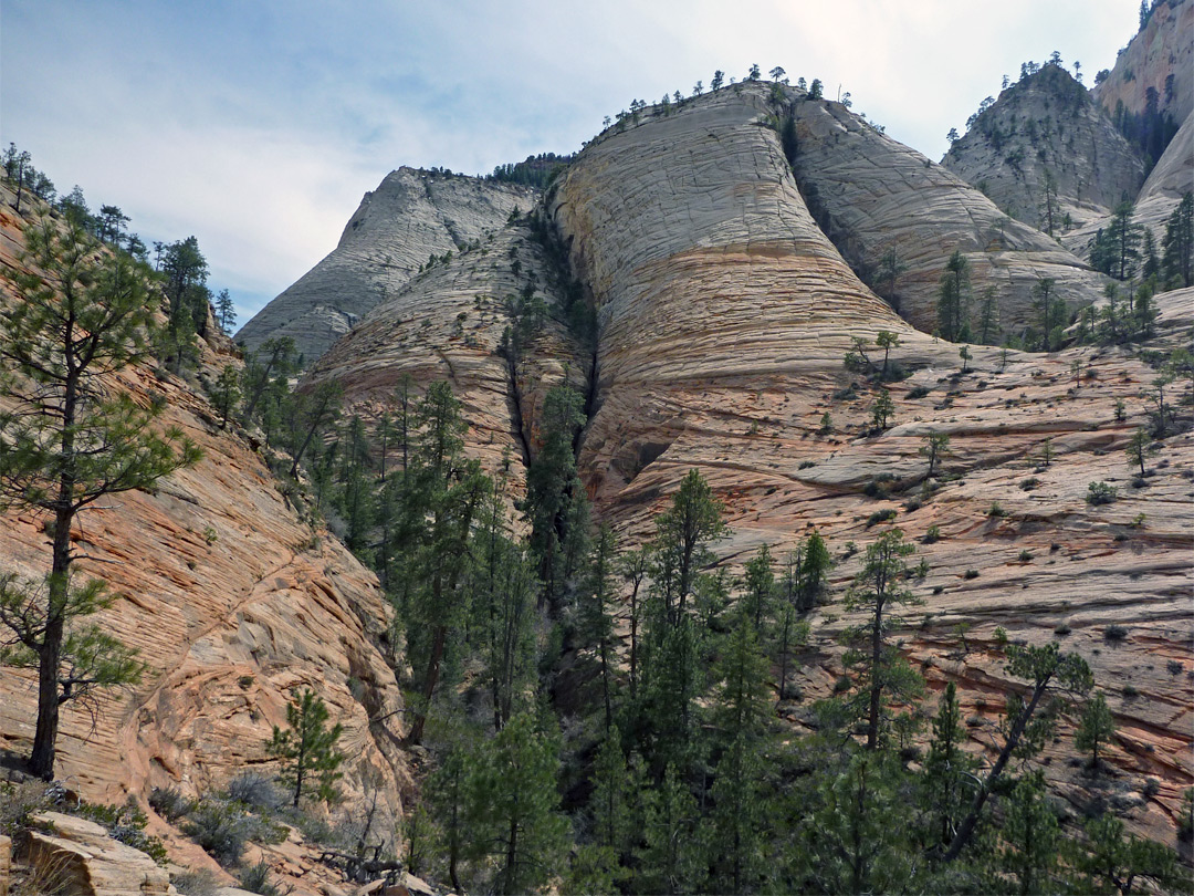 Tributary of Telephone Canyon